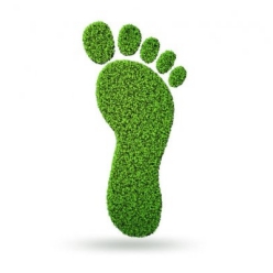 Proyectos ambientales GreenPlus - Huella de Carbono